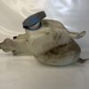 Bocal lave-glace Seat Ibiza 6K2