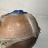 Vase expansion VW Polo 5