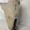 Réservoir lave-glace d'origine VAG — Références 6Q0955453N / 6Q0955453P
